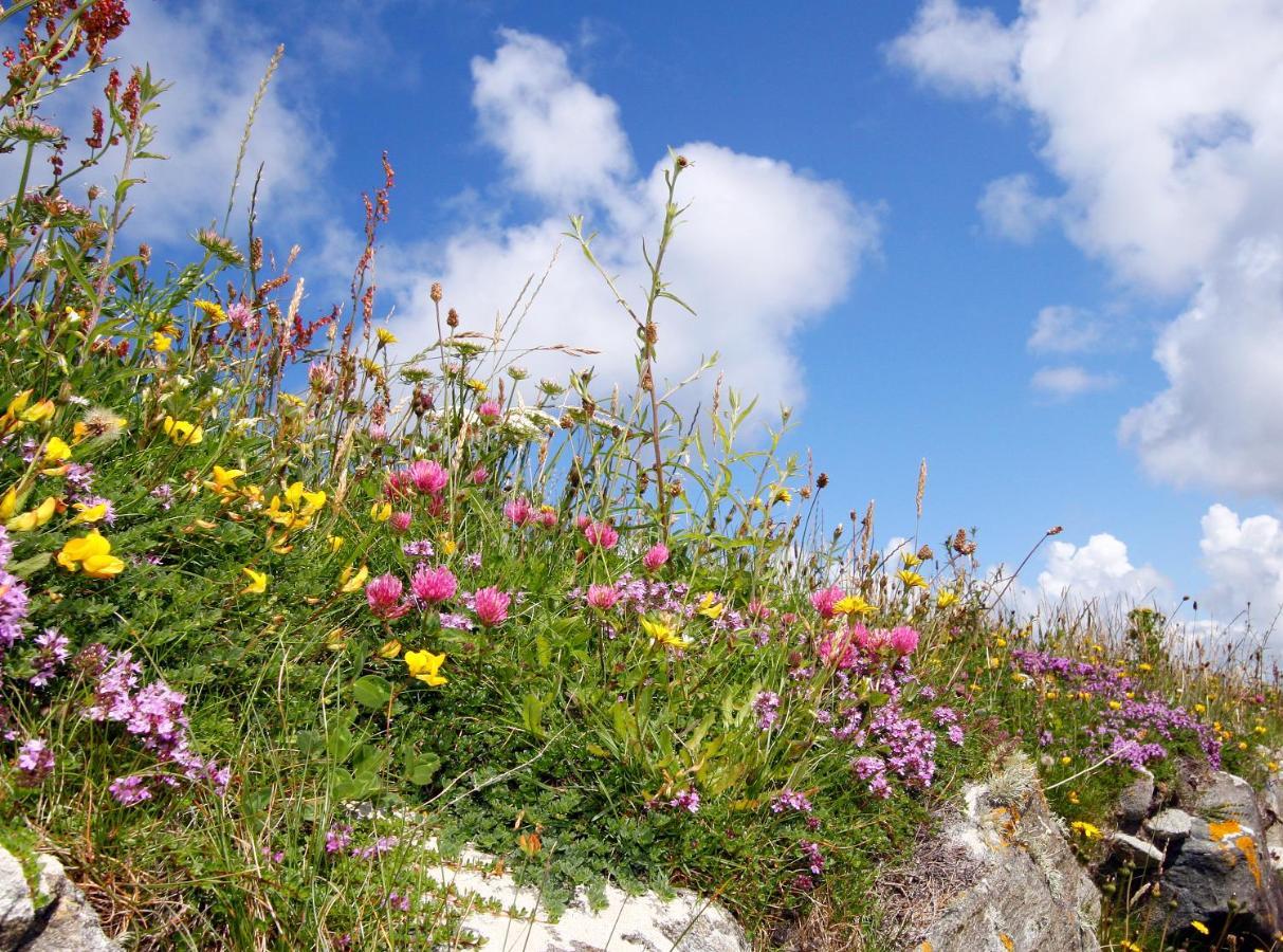 Meadow Cottage Belmullet Dış mekan fotoğraf